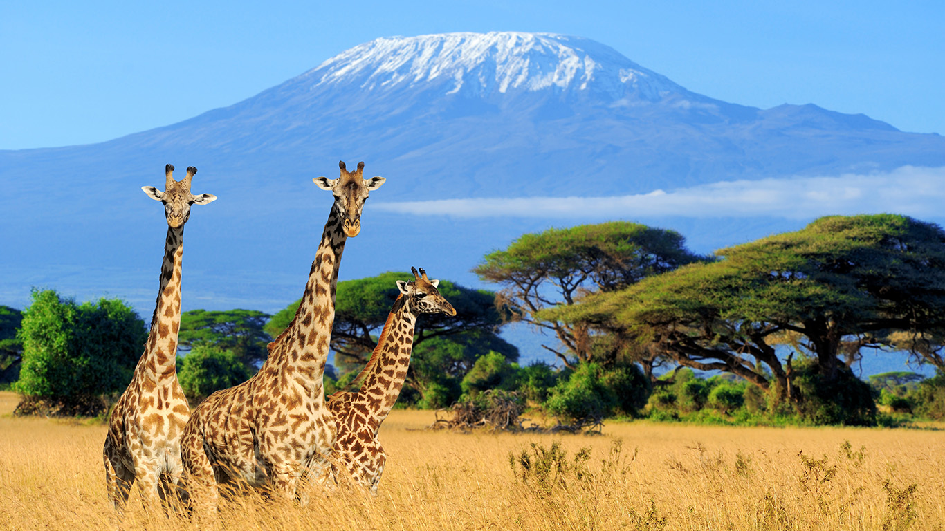 The Plains of Africa Kenya Wildlife Safari